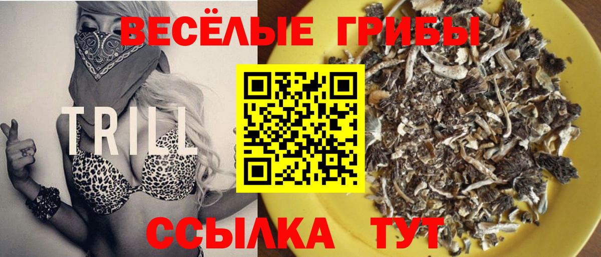 Галлюциногенные грибы Magic Shrooms  Вход с VPN  Галлюциногенные грибы Psilocybe  Дубна 