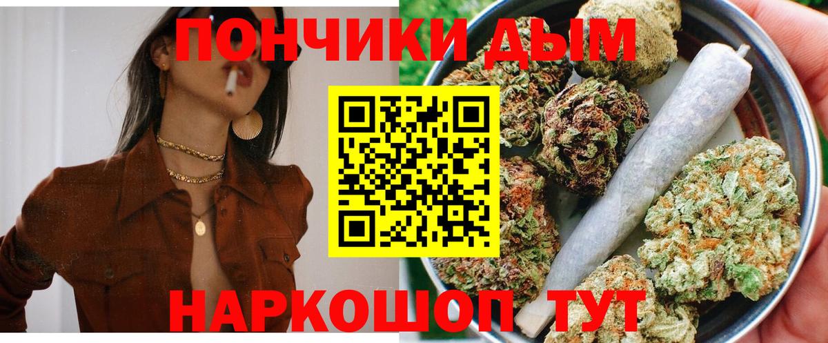Каннабис OG Kush Дубна